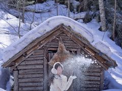 -峡谷浮石林景区