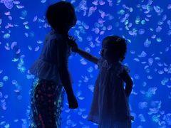 -江和美海洋公园