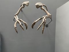 -重庆自然博物馆(新馆)