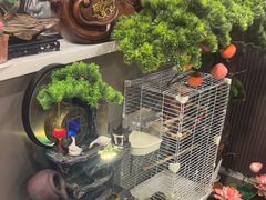 -长湘居(数码大厦店)