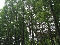 景点-瀛洲公园