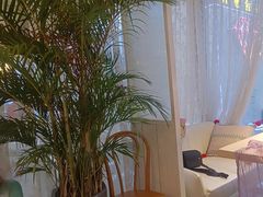 -秀儿家の小确幸花园西餐厅