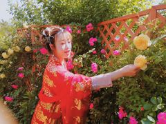 -鹅湖玫瑰文化园
