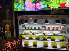 -番食园鲜食火锅(高新店)