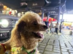 -明月山天沐温泉度假村