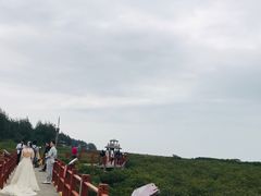 -北海金海湾红树林生态旅游区