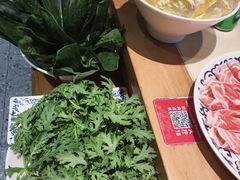-东镇老火锅(长春路首店)