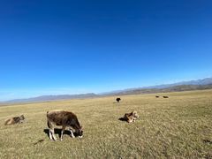 -新疆那拉提国家旅游度假区