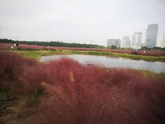 -尚贤河湿地