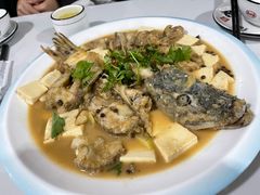 -煲来饱去冷水鱼