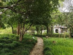 -秋霞圃