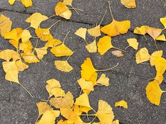 -高庙村(地铁站)