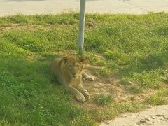 -西安秦岭野生动物园