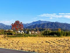 -塔川景区