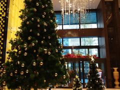 -城市名人酒店喝彩西餐厅(人民南路店)