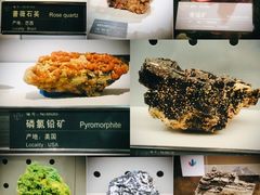 -中国地质博物馆