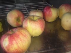 红富士苹果-味香林牦牛自助火锅