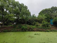 -西山人家·二十年老字号农家菜(旺山店)