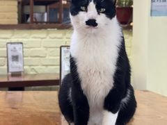 -雕刻时光·咖啡·酒吧·西餐(香山店)