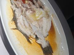 古法游龙东星斑-侨美食家·粤菜(体育西路店)