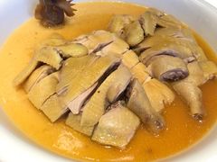 招牌水蒸鸡-白云宾馆·白云宴餐厅