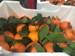 -西郊国际农产品交易中心