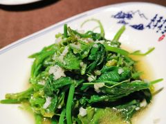 碧绿瓜尖-樽宴酒楼·地道川菜·品质宴请