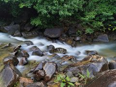 -广州白江湖森林公园