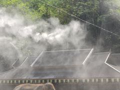-野象谷景区