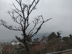 -九华山公园