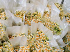 -循礼门鲜花花市(武汉循礼门店)