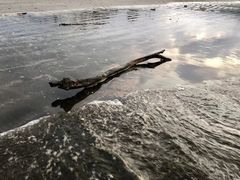 -台山黑沙湾海浴场