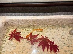 -晶采轩(虹桥路店)