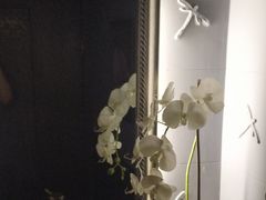 -Dragonfly悠庭·按摩Spa(静安嘉里中心店)