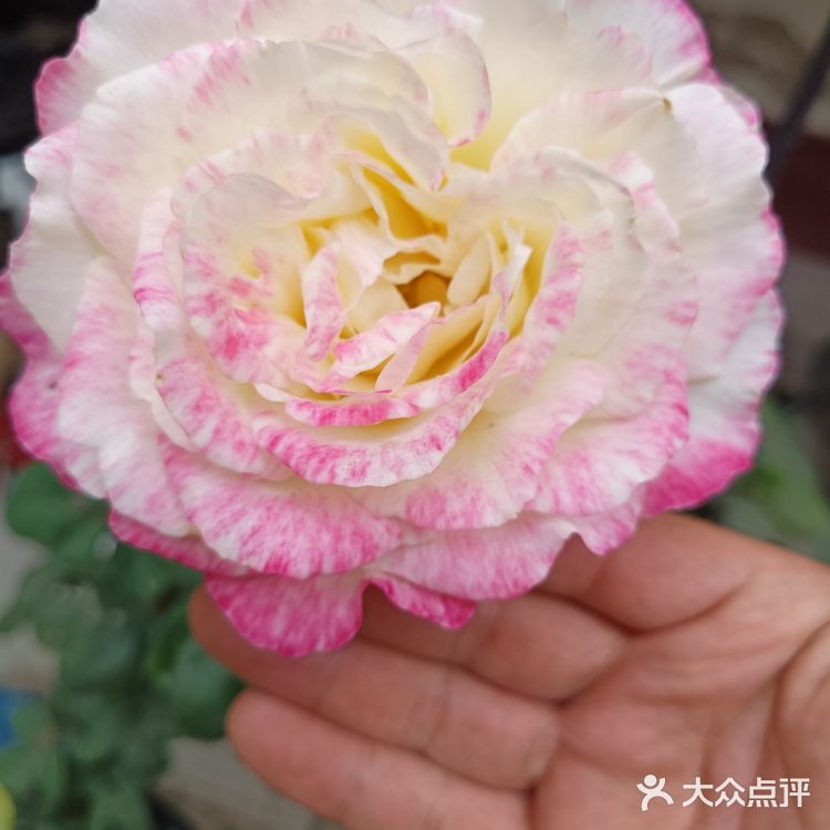 与热情的井陉跑友联谊，一起跑完山地半程马拉松后在此小聚！