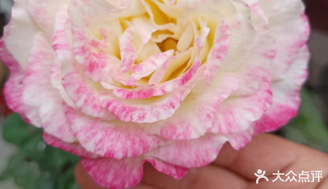 与热情的井陉跑友联谊，一起跑完山地半程马拉松后在此小聚！