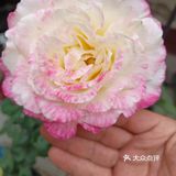 与热情的井陉跑友联谊，一起跑完山地半程马拉松后在此小聚！