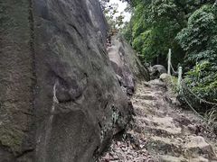 -南山植物园
