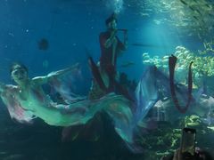 -海合安武汉极地海洋公园