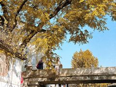 -绍兴书圣故里景区