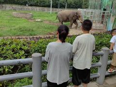 -西安秦岭野生动物园