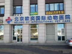 -欧奕国际动物医院