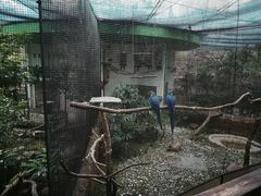 -九龙公园