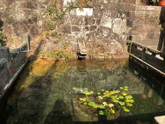 -韬光茶庵