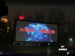 -枫花园汽车电影院(朝阳公园店)