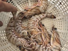 -海景苑海鲜大酒店(吕四店)