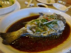 铜盆鱼-天明山温泉大酒店