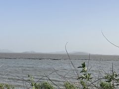 -贡湖湾湿地公园