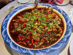 来凤鱼-新概念来凤鱼(璧山店)