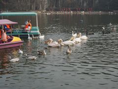 -西安秦岭野生动物园